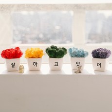 무지개 응원 스칸디아 모스화분 5종 + 피규어 랜덤발송 2p 세트 잘하고있어, 1세트