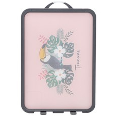 NouVelle 304 不銹鋼多功能雙面砧板 NV-K002, 混色