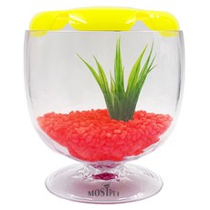 Rora Pet Most Pet酒紅色水族箱, 櫻桃紅