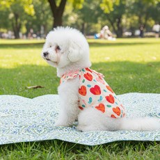 웨이비데이즈 반려동물 똑딱 여름 하트 티셔츠 W265-0185, 오렌지(W265-0185OL), 1개