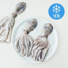 The더착한 활낙지 (냉동), 1개, 850g(300~500g)