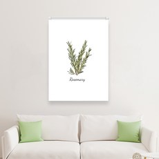 끌래망스 로즈마리 실사 롤스크린 일반원단