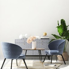 HIHOMETECH 膠黏絕緣壁紙, 朱莉安娜懷特