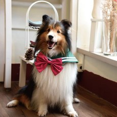 ZAZAZOO 萌少女戰士水手領巾 + 蝴蝶結 木星款, 綠色 + 粉紅色, 1組