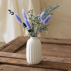 ScentBasket 兔尾草永生花 + 條紋陶瓷花瓶套組, 藍色