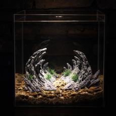 精緻青龍石魚缸裝飾品 龍之谷 L套組, 1套