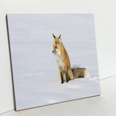 UDP 磁磚畫框 A型 3917626, 單一顏色