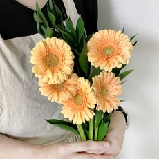 코코도르팜 생화 미니거베라 5개 + 루스커스 5개 세트, 코랄피치(미니거베라)