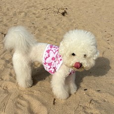 Barkdog 狗狗短版涼感背心