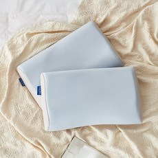 까르마 메디슬립 메모리폼 베개, 블루 + 웜그레이, 2개
