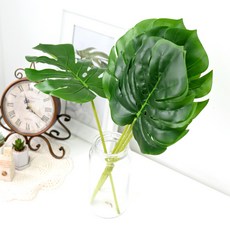 Garden in the City 龜背竹茄子, 5個, 混合顏色