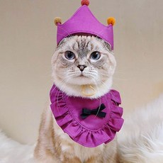 平金寵物魔女披肩, 紫色的