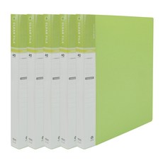 玄風 40頁 VIVO 透明文件夾 索引 A4, 淺綠色, 5個