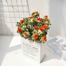 GAPANG 10號乾花+花盆 DRYJ021, 混色