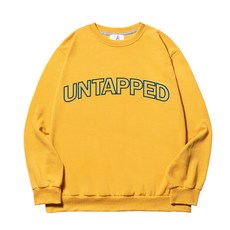 언탭트 남성용 빅사이즈 1988아치 맨투맨