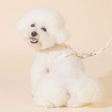 펫트리움 강아지 편안 하네스 + 핸즈프리 리드줄 4m 세트, 아이보리, 1세트