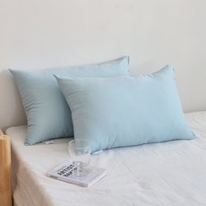 아임리빙 통세탁 데일리 스윗 세미일체형 베개솜, 민트, 2개