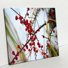 UDP 磁磚畫框 A型 3918010