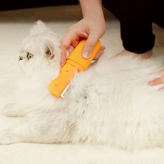 파스텔펫 고양이 캣풋 듀얼 브러쉬 19.1 x 4.7 cm, 오렌지, 1개