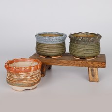 玫瑰多肉盆栽 3入, 隨機出貨, 3個