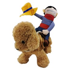 Posiluv 寵物服裝, 騎術