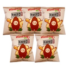 웰칩 카사바칩 갈릭맛 스낵, 40g, 5개