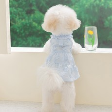 Artipet 寵物花朵蕾絲透氣牽引洋裝