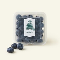 온브릭스 무농약 인증 윤희성 농부의 왕 블루베리, 100g, 1개