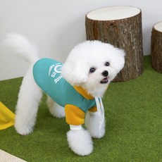 칠시 반려동물 퍼피 캠퍼스 후드, 블루, 1개