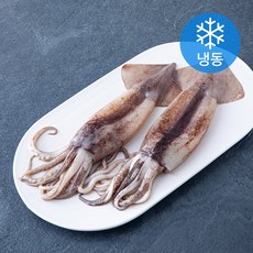 오바다 손질 통오징어 (냉동), 1개, 270g