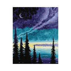 Play about 神秘之夜 DIY 傑作繪畫套組 40 x 50cm, 混色