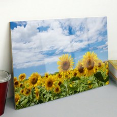 裝飾 天空 風 向日葵 壓克力相框 tm043, 雲朵