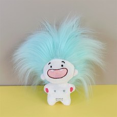 순잠 별자리 스타 인형 키링 물병자리, 민트, 1개, 15cm