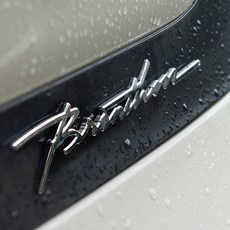 BRENTHON DESIGN 草寫體徽章 BEE-A107, 所有車型, 混合色