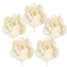 Hoonymarket 蘆葦纖維擴散棒 5 厘米, 牡丹, 5個