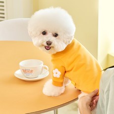 MY FLUFFY Blossom 貼布大學T 狗狗衣服, 黃色
