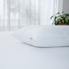 ahtty blanc 柔軟莫代爾雙面型Huvis Duraron涼感接觸枕頭, 1個, 白色