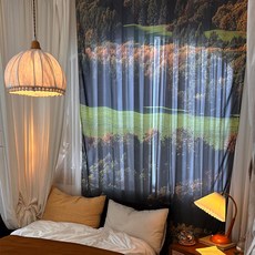 모노니크 쉬폰 패브릭 포스터 특대형+집게링10p, 56 Sunny hill