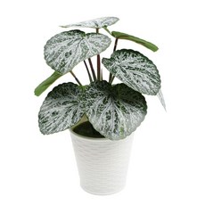 Sonio室內室內綠植人造盆栽, 1個, 01型