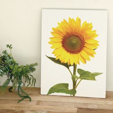 오홀리브 손잡이 액자테이블, 11 해바라기