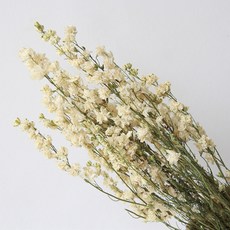 Sonio 夢幻飛燕草乾花花束, 05白色