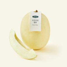 온브릭스 주식회사 농업회사법인 프리미엄 백설 멜론, 1개, 1.5kg
