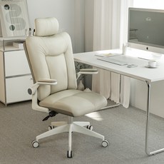 비애노 구르밍 컴퓨터 책상 의자, 아이보리그레이