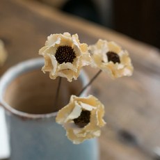 GAPANG 乾花 DRYB097, 11 號白色