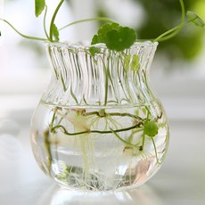 ZY 수경재배 미니화분 물결, 2개
