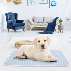 랜보어 반려동물 엠보 메쉬 패드, 블루, 1개