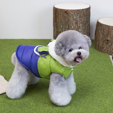 Coco studio 寵物 Coco 快樂擁抱連帽鋪棉胸背帶, 1個, 綠色