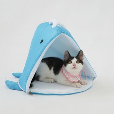 紅色小狗貓海鯨屋藍色, 藍色