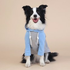 PASTEL PET 寵物大型犬拉克蘭連帽T恤, 藍色, 1個