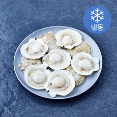 The더착한 반가리비 (냉동), 1개, 720g(16미)